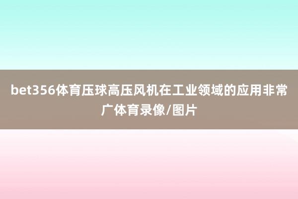 bet356体育压球高压风机在工业领域的应用非常广体育录像/图片
