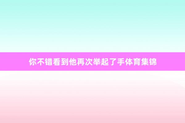 你不错看到他再次举起了手体育集锦