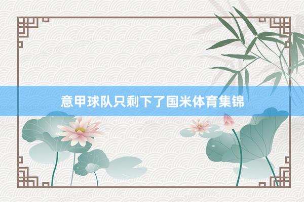意甲球队只剩下了国米体育集锦