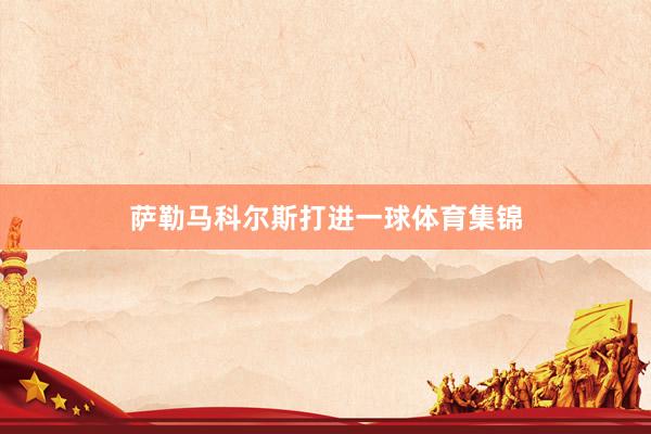 萨勒马科尔斯打进一球体育集锦