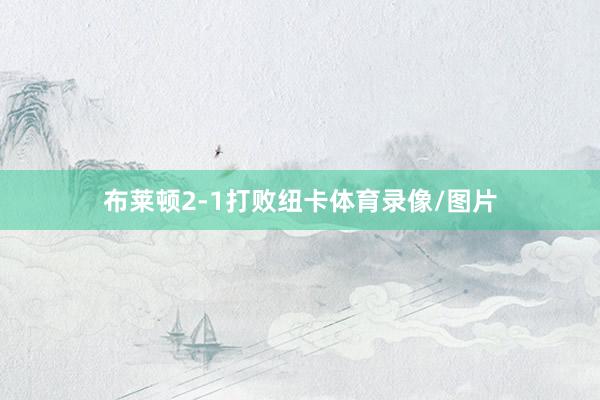 布莱顿2-1打败纽卡体育录像/图片